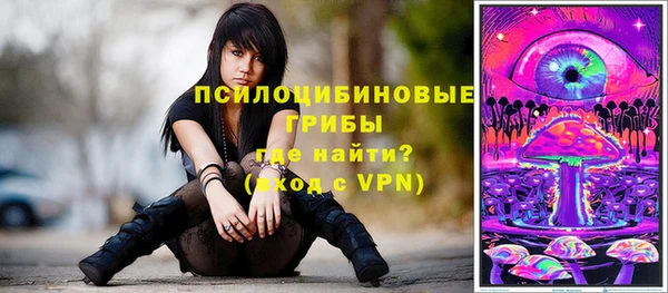индика Кукмор