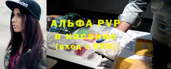 индика Кукмор
