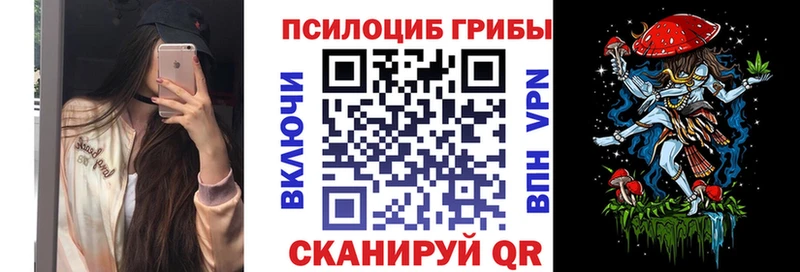 купить  цена  Чёрмоз  блэк спрут зеркало  Псилоцибиновые грибы Psilocybine cubensis 